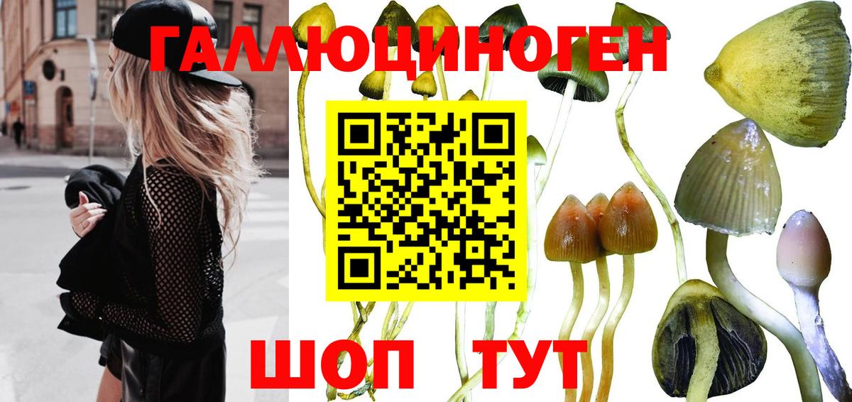 Псилоцибиновые грибы MAGIC MUSHROOMS Лабытнанги