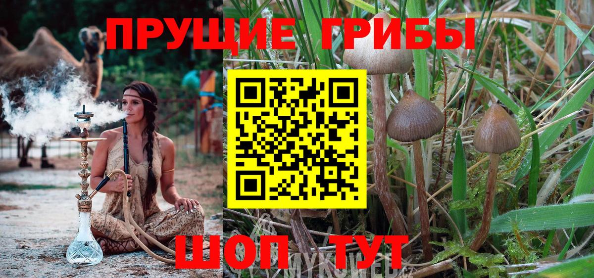 Лабытнанги  Псилоцибиновые грибы GOLDEN TEACHER  Вход с VPN 